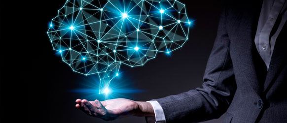 Neurofinanzas: ¿Cómo toma el cerebro las decisiones financieras?